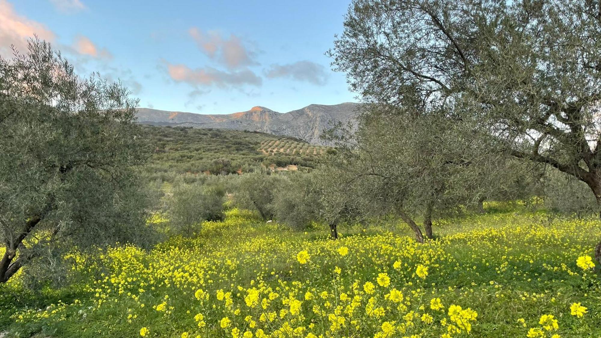 Finca Valle Verde Alora Exteriör bild
