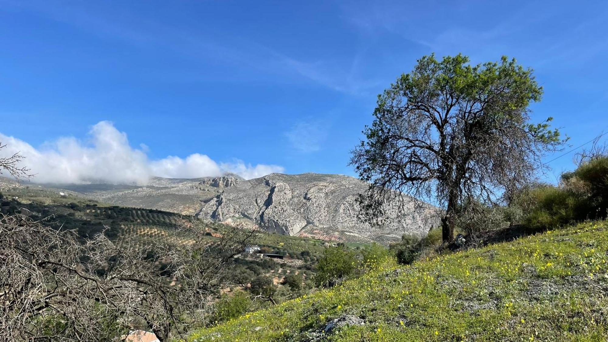 Finca Valle Verde Alora Exteriör bild