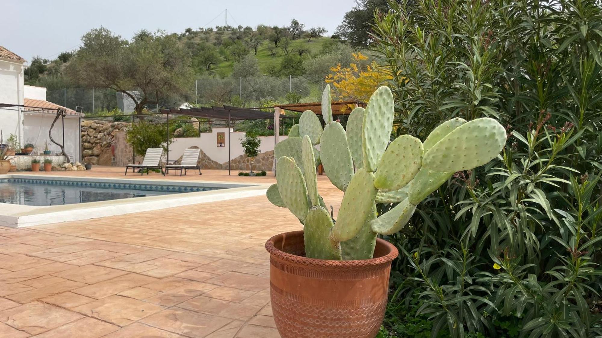 Finca Valle Verde Alora Exteriör bild