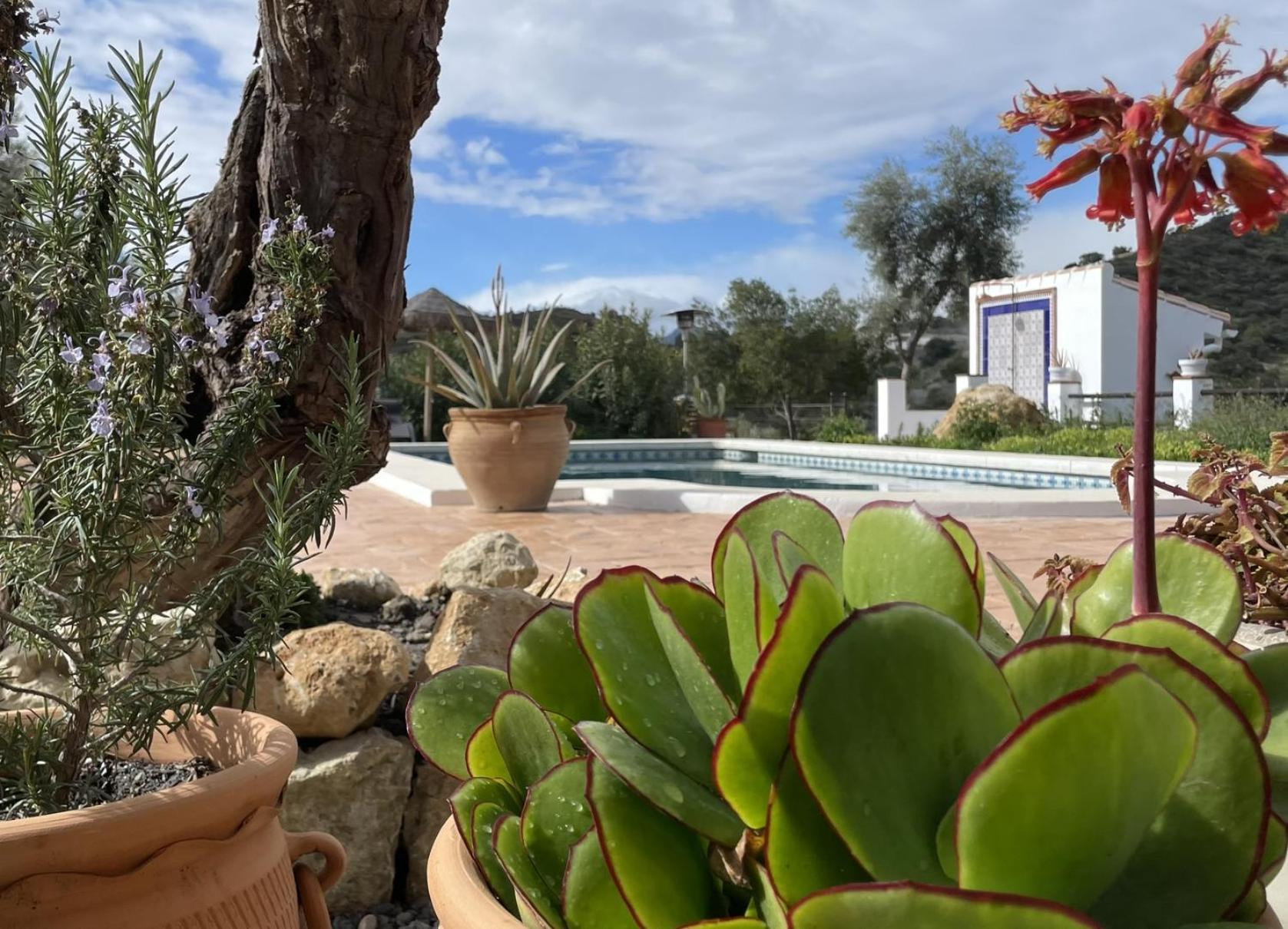 Finca Valle Verde Alora Exteriör bild