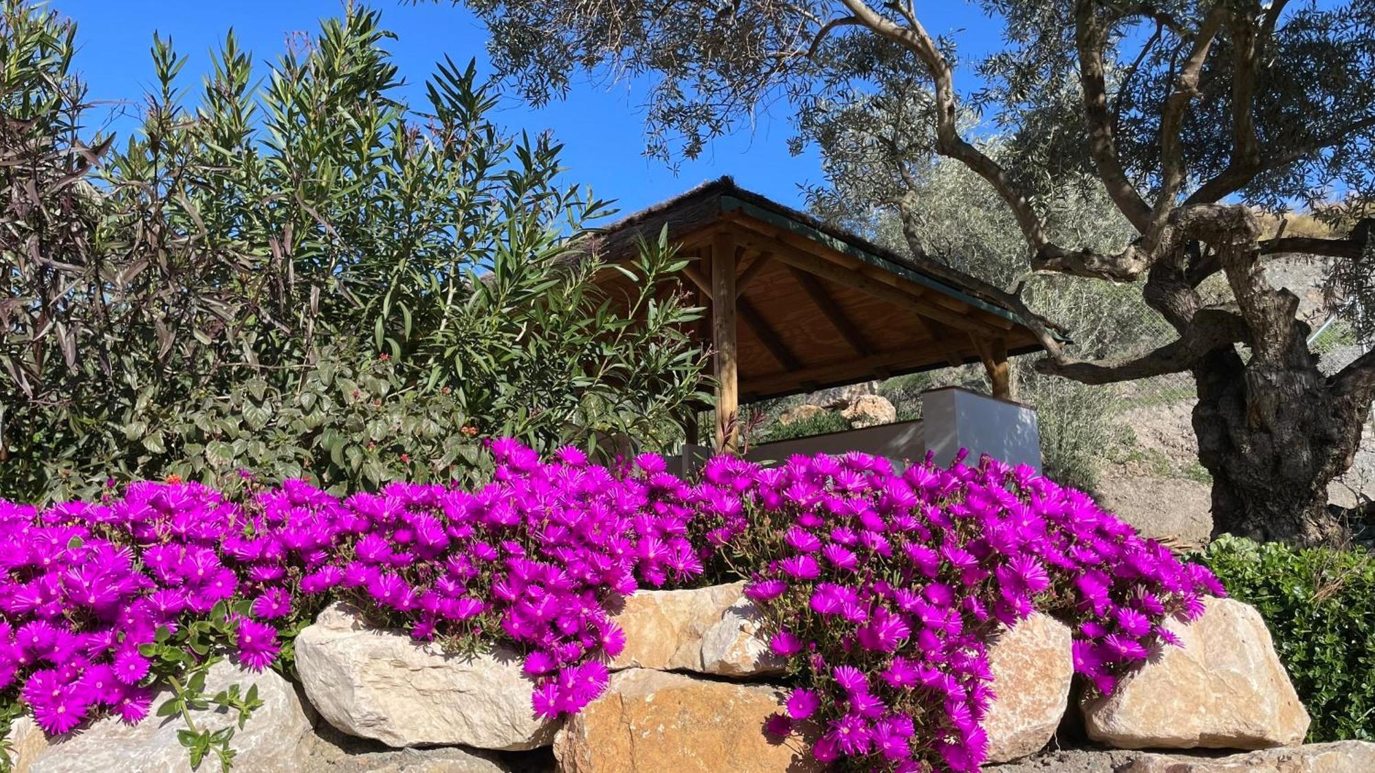 Finca Valle Verde Alora Exteriör bild